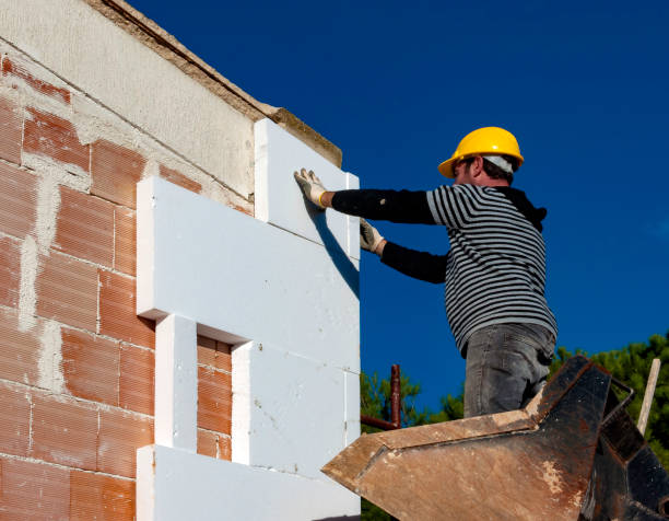 Best Energy-efficient Insulation  in Whitney, SC