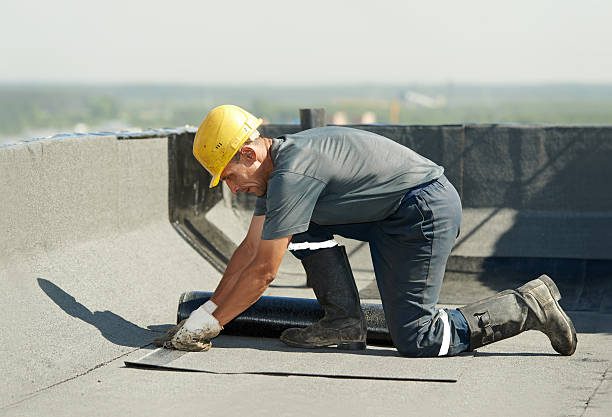 Best Insulation Contractors for Homes  in Whitney, SC