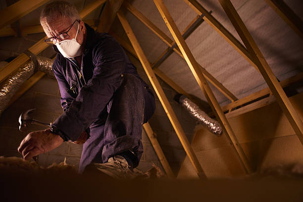 Best Affordable Insulation Services  in Whitney, SC